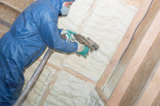 Best Basement Insulation  in Minersville, PA